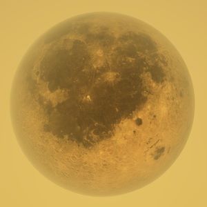 Meet your Posher, Evan